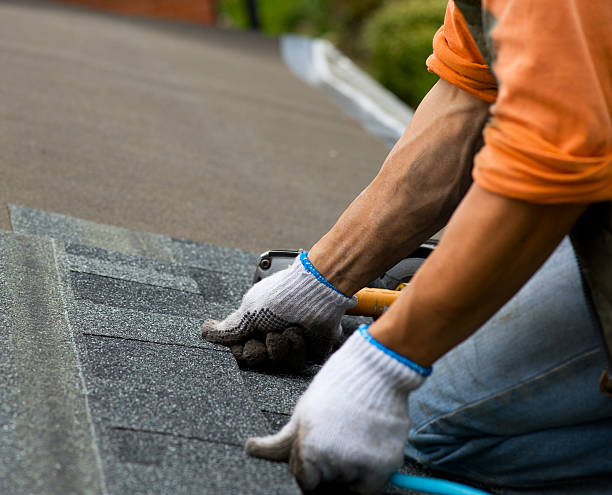 Best Roof Gutter Cleaning  in Dowagiac, MI